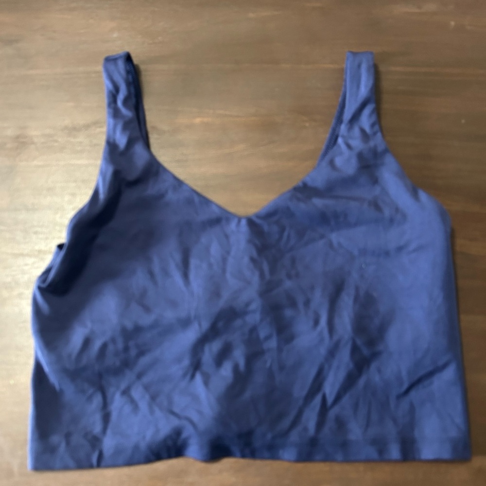 Sleeveless Navy V-Neck Crop Top